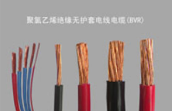 聚氯乙烯絕緣無護(hù)套電線電纜